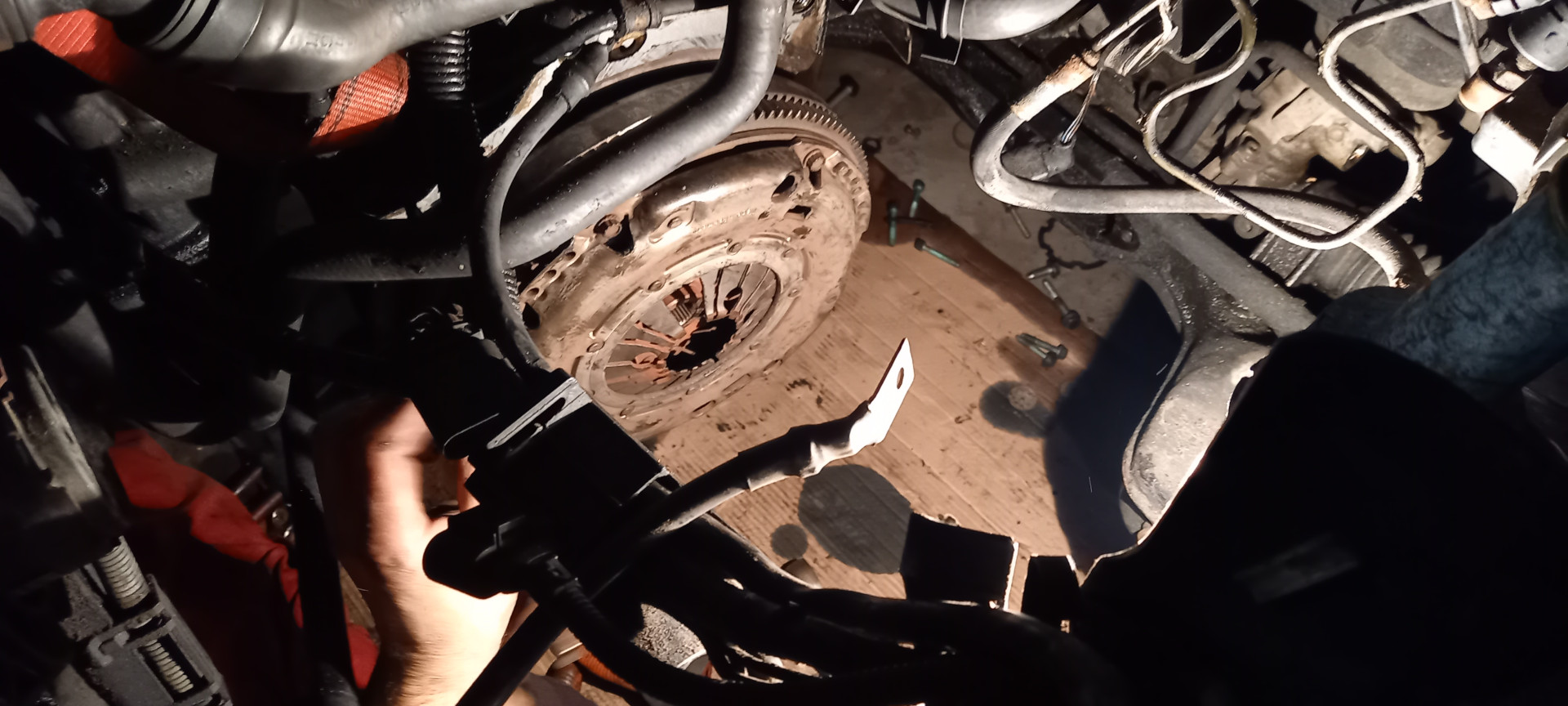 Golf IV stara Tarcza Sprzęgłowa