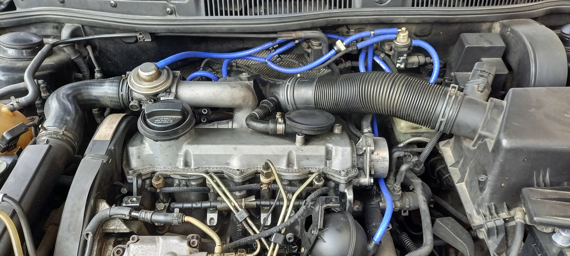 Golf IV widok na silnik przed pomalowaniem pokrywy głowicy